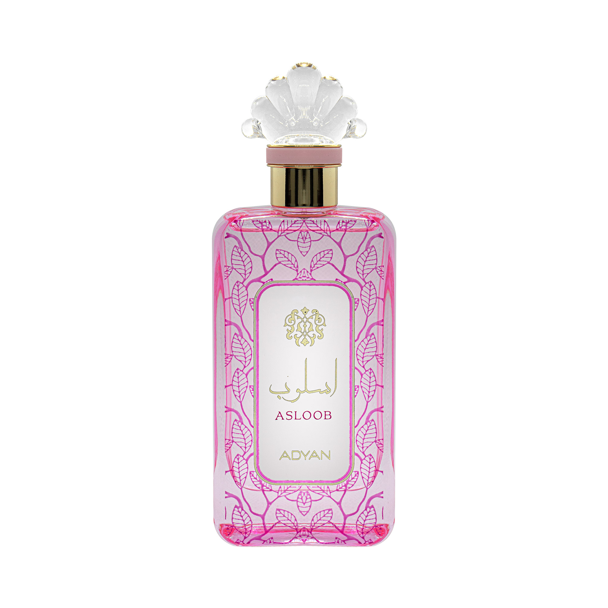 ADYAN ASLOOB EDP