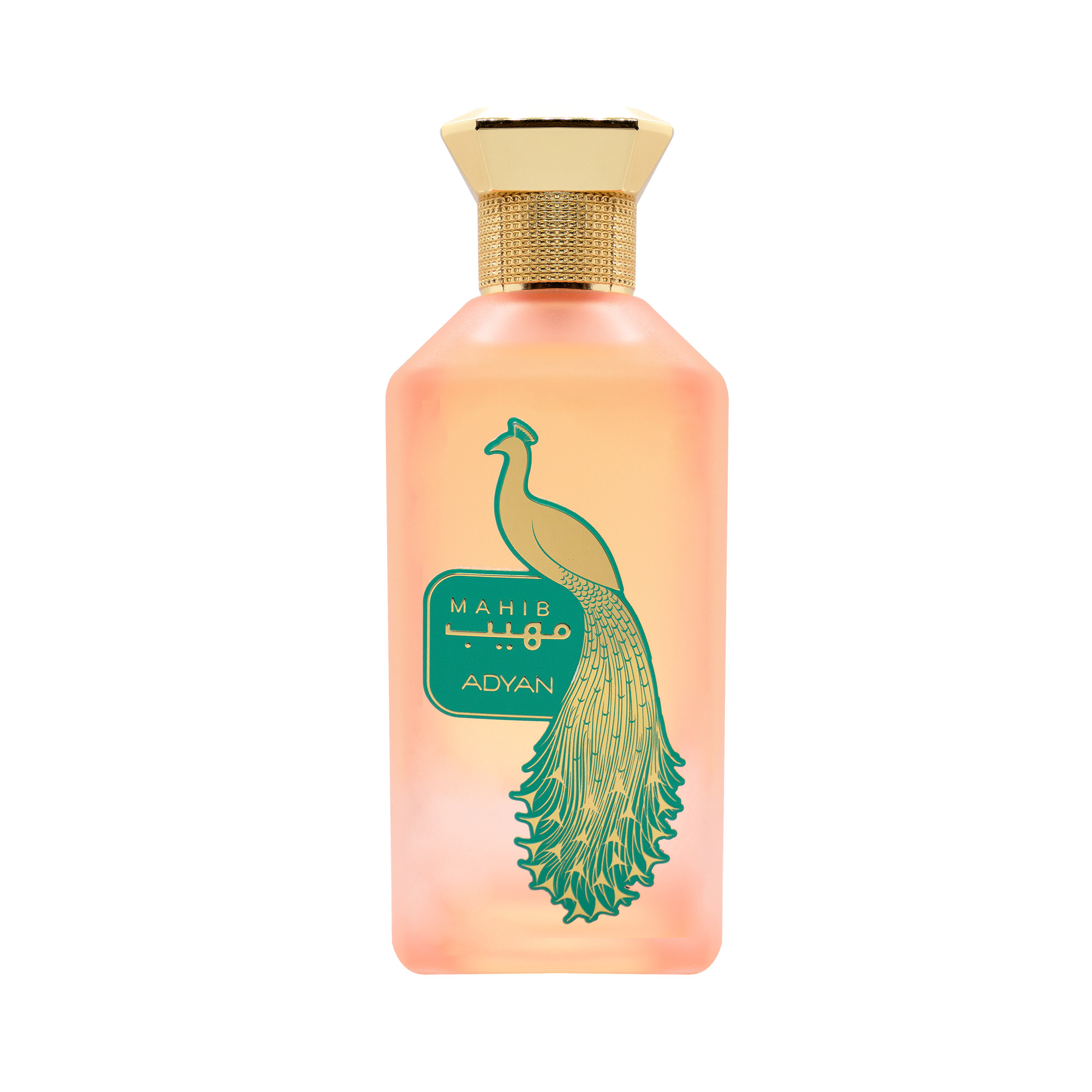 ADYAN MAHIB EDP