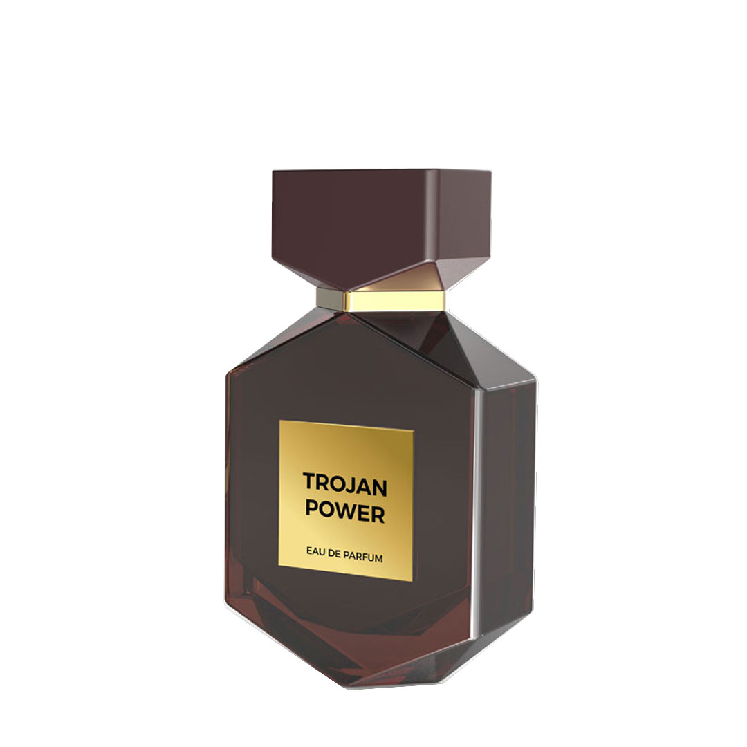 CAMARA TROJAN POWER EDP