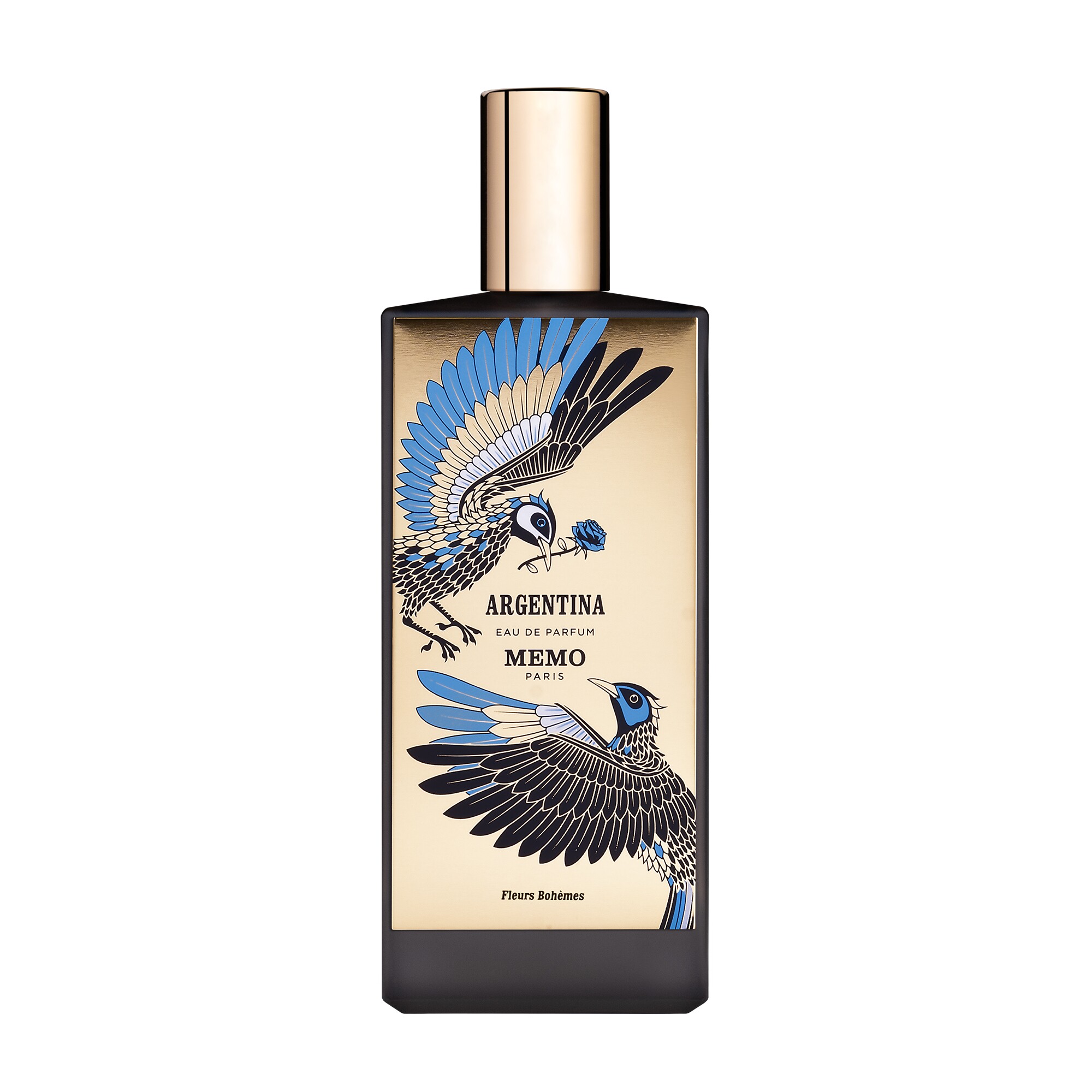 MEMO ARGENTINA EDP