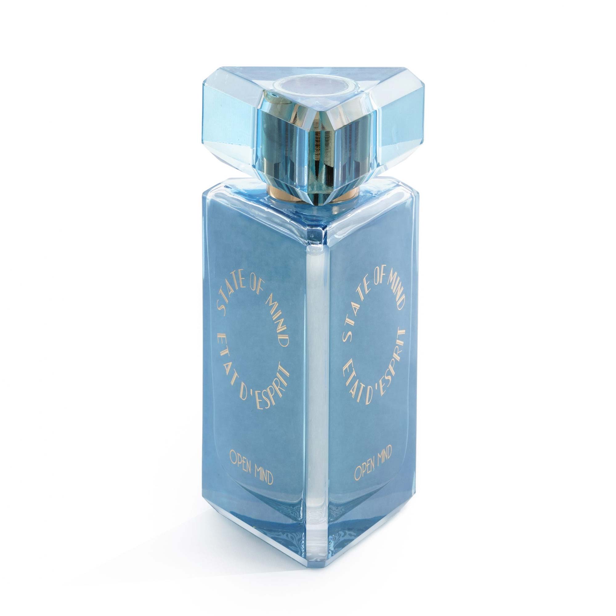 SOM OPEN MIND EDP
