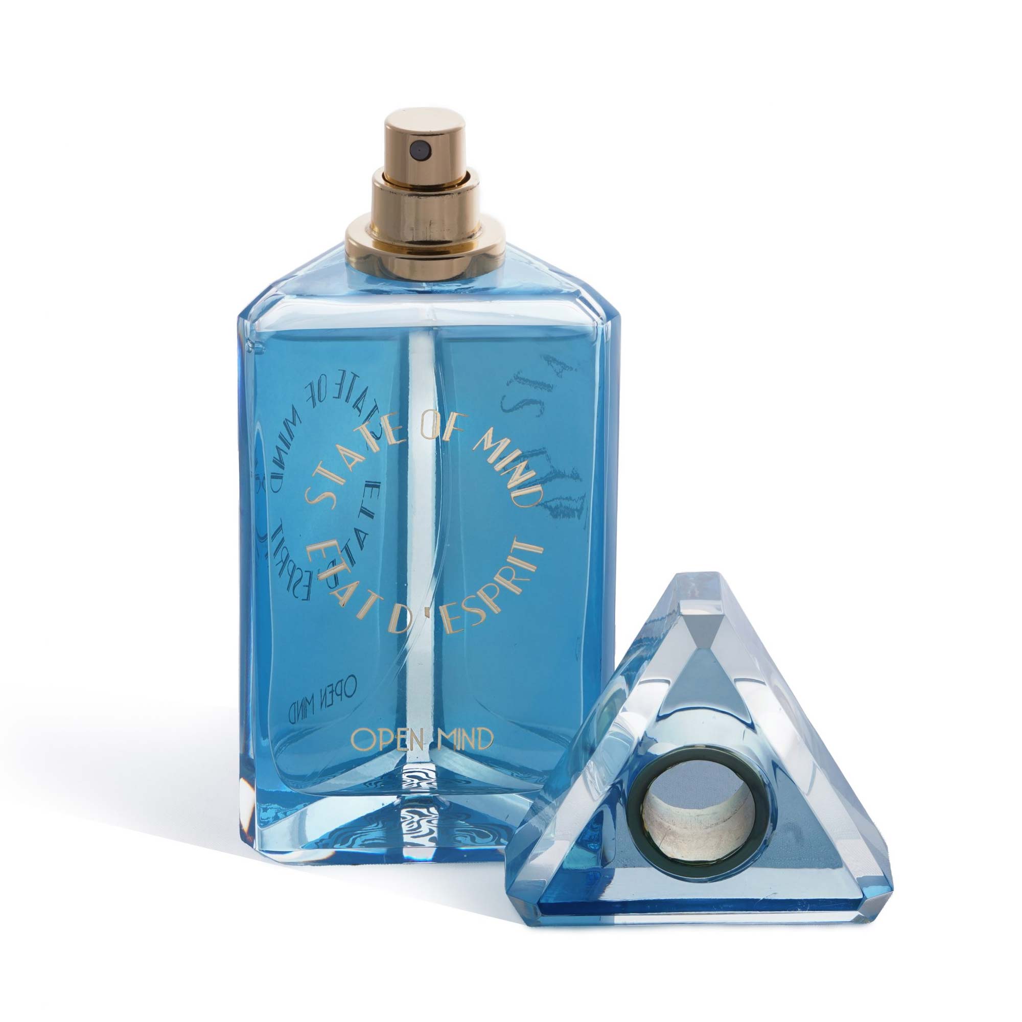 SOM OPEN MIND EDP